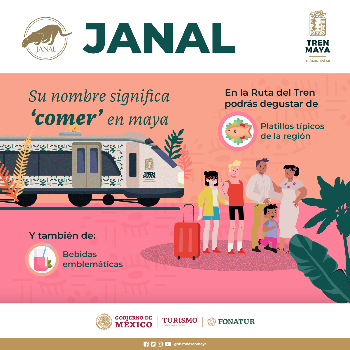 Conoce el Tren JANAL del Tren Maya