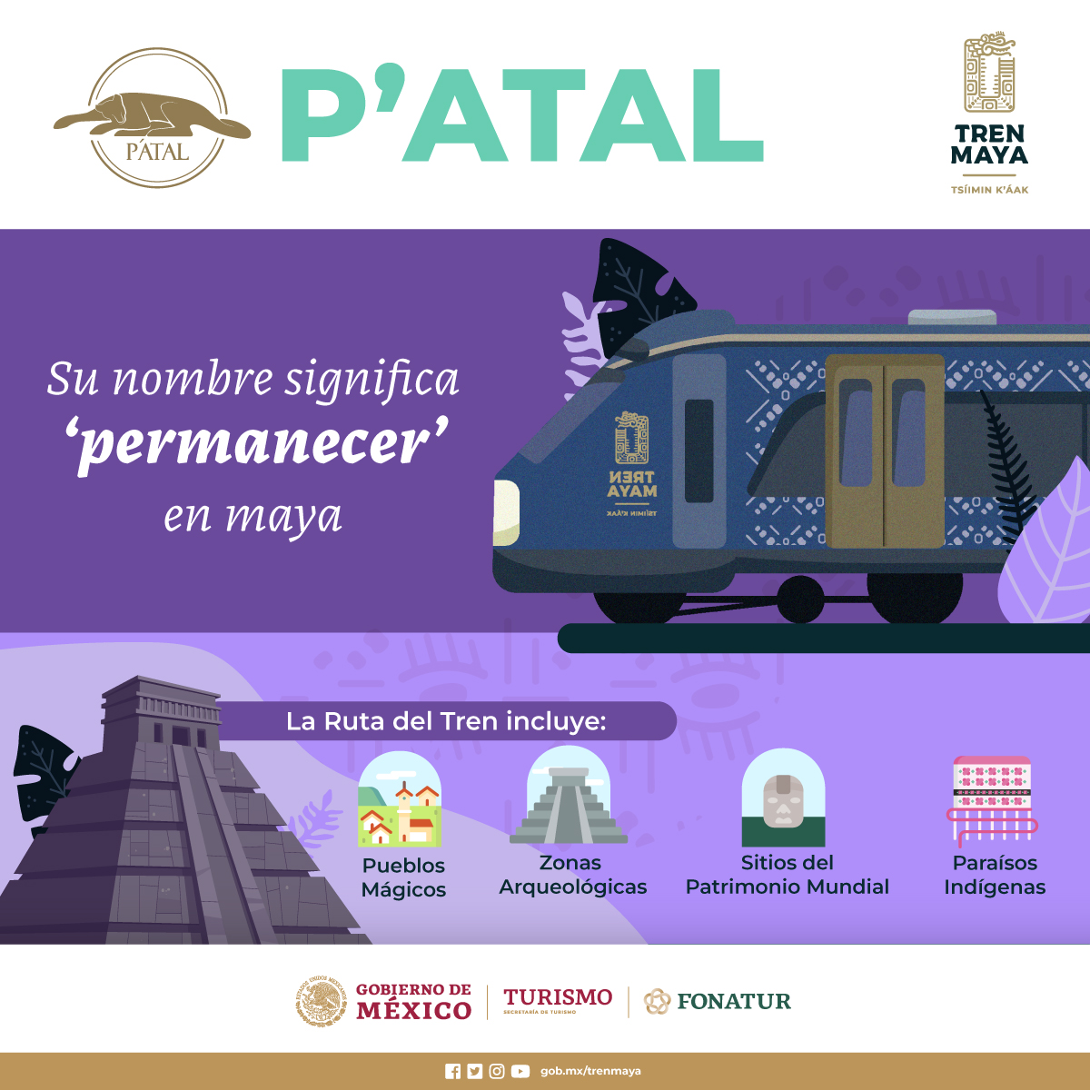 Tren Maya P'ATAL, Servicio de Camarotes para viajes largos